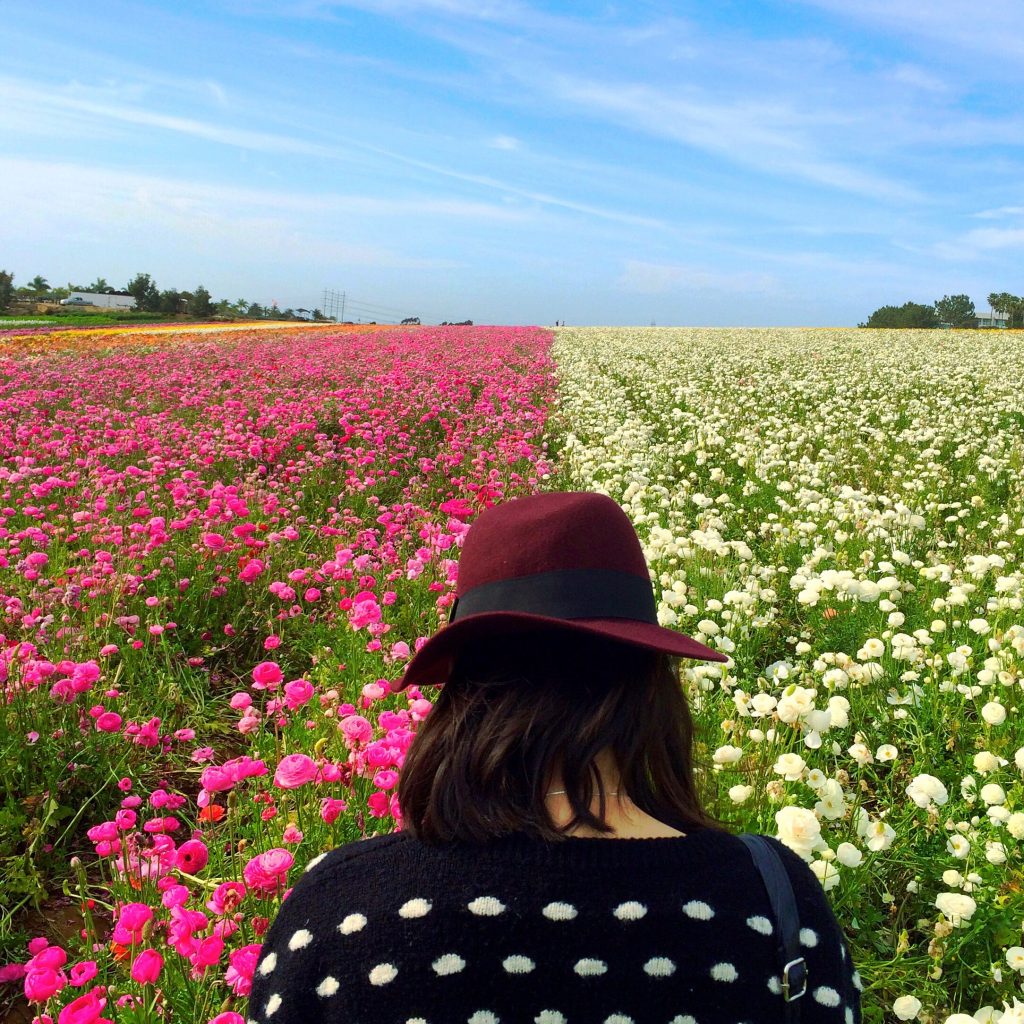 A Battlefield Of Blood Painted With A Brush Of Flowers T20 Wkkjyr - California Locals