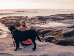 A Woman And Her Dog Watching Surfers At The Beach At Golden Hour T20 Oo7K4W - California Locals