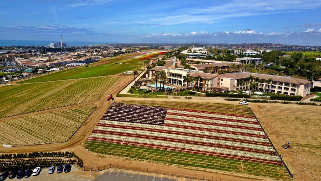 American Flag Of Flowers In Carlsbad Ca T20 Bae3Np - California Locals