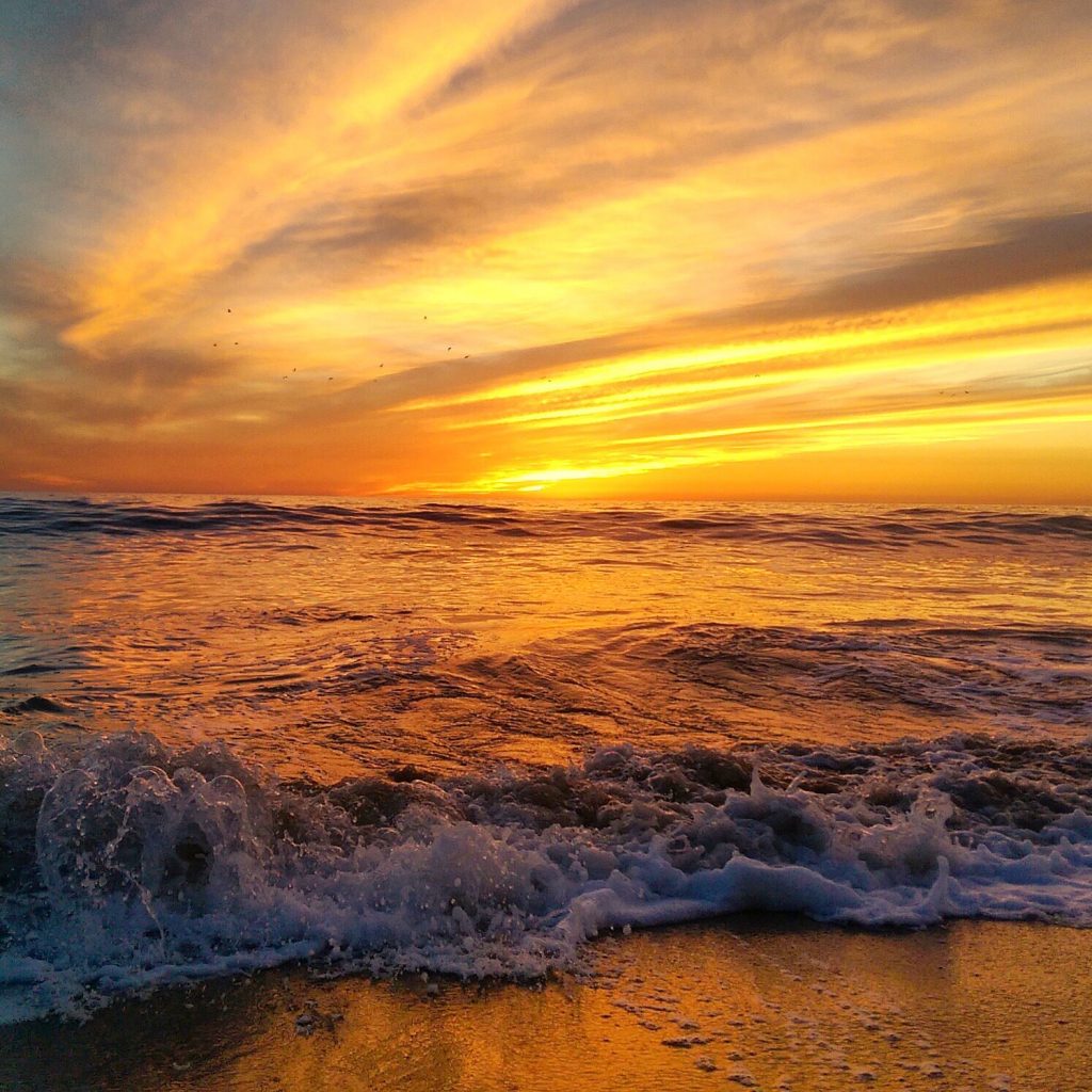 Beach Day Sunset Carlsbad Ca T20 Bewjdp - California Locals