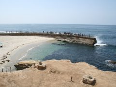 Childrens Pool La Jolla T20 Qqwyza - California Locals