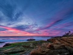 La Jolla Nights T20 6Wboq9 - California Locals