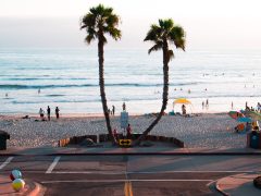 Nature Beach Palm Tree Ocean San Diego Pacific Ocean T20 Aojyn0 - California Locals