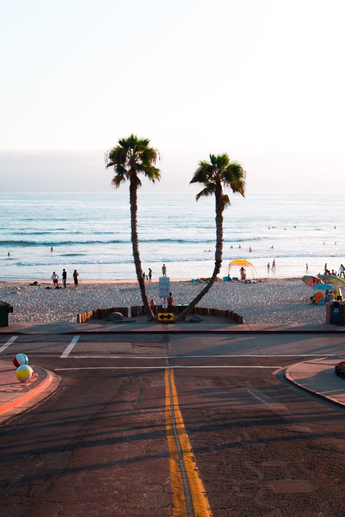 Nature Beach Palm Tree Ocean San Diego Pacific Ocean T20 Aojyn0 - California Locals