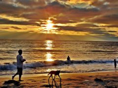 Pacific Beach In San Diego T20 Nezq9O - California Locals