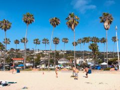 Real Image Of A Day At The Beach In La Jolla California Tonythetigersson Tony Andrews Photography T20 Qa03Ma - California Locals