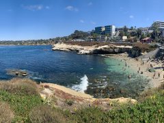 Seal Cove In La Jolla Ca So Pretty T20 Vldobl - California Locals