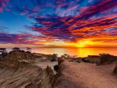 Summer Sunset Over Torrey Pines State Park T20 8Brvng - California Locals