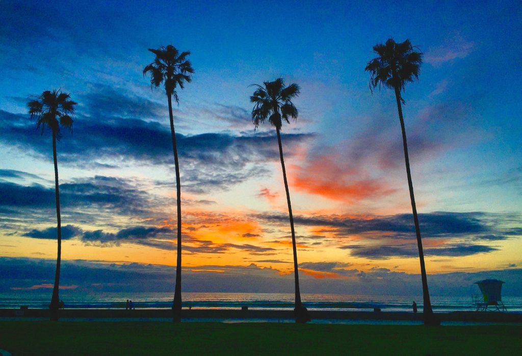 Sunset And Palm Trees At La Jolla Shores 5 5 16 T20 Qqrnje - California Locals