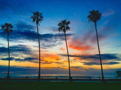 Sunset And Palm Trees At La Jolla Shores 5 5 16 T20 Qqrnje - California Locals