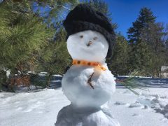 A Happy Snowman Wearing A Snow Hat On A Beautiful Sunny But Very Cold Day In The Local Forest T20 Gjenae - California Locals