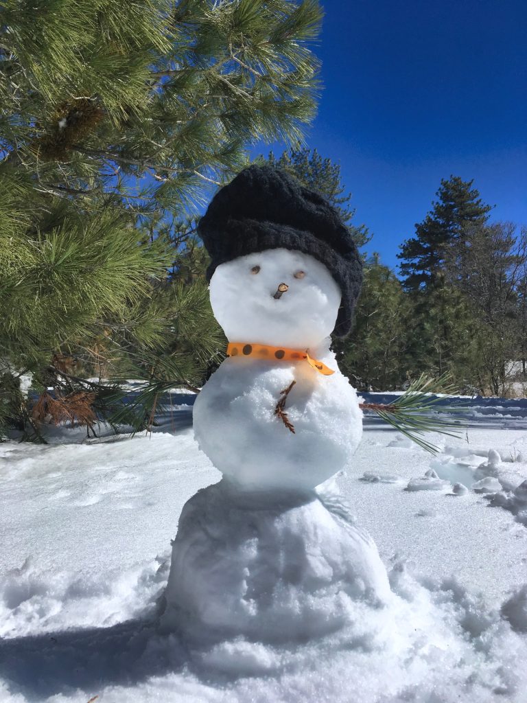 A Happy Snowman Wearing A Snow Hat On A Beautiful Sunny But Very Cold Day In The Local Forest T20 Gjenae - California Locals