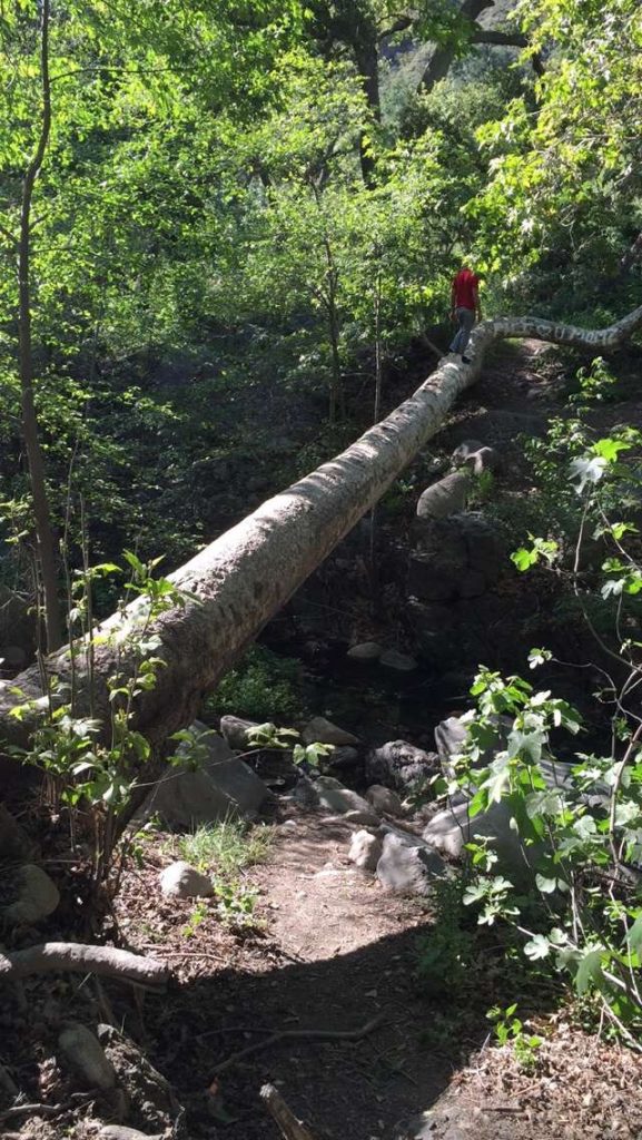 California Hike Offroad Wandering Cleveland National Forest T20 Lqqalo - California Locals