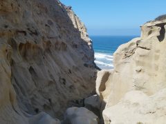 Ho Chi Minh Trail - California Locals