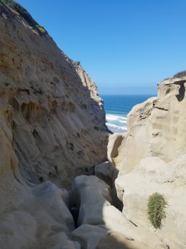 Ho Chi Minh Trail - California Locals