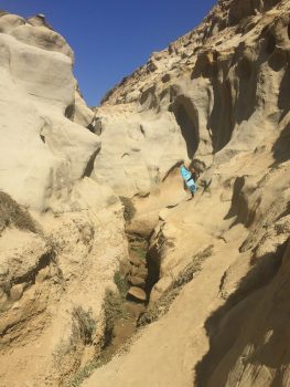 I Did The Trail The View - California Locals