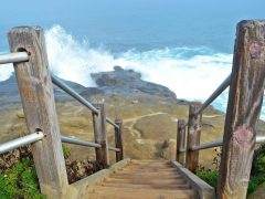 La Jolla Cove - California Locals