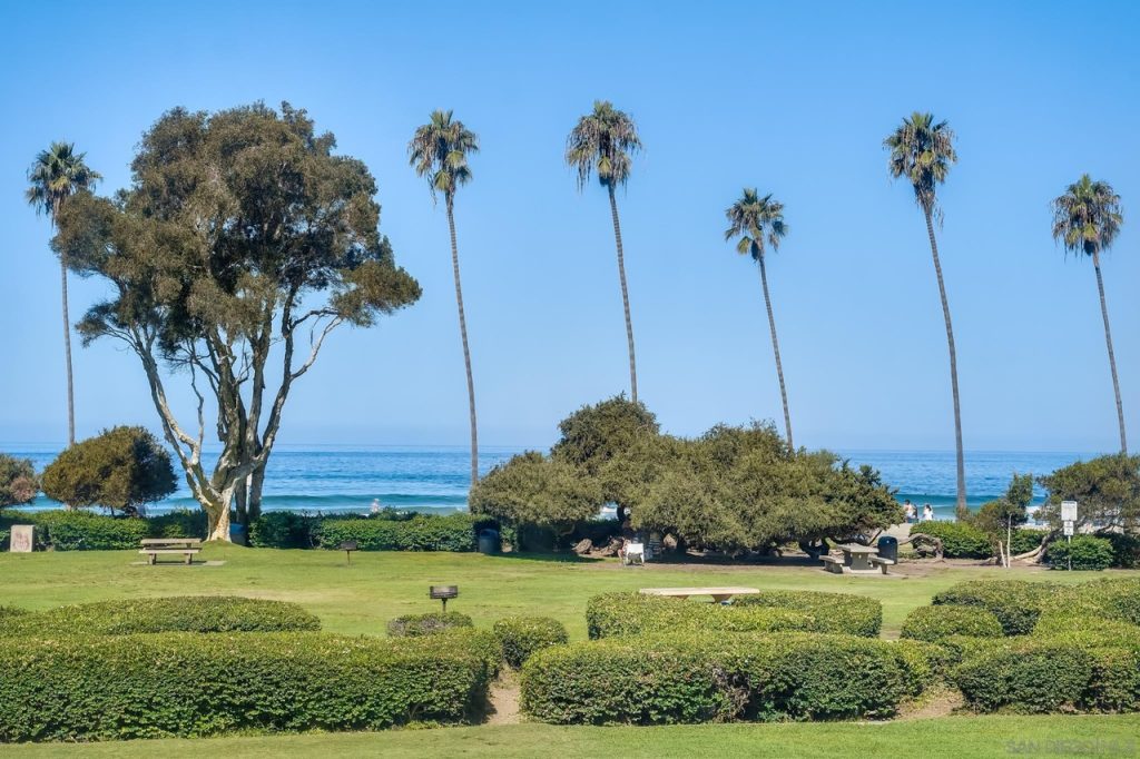 La Jolla Shores - California Locals