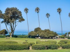 La Jolla Shores - California Locals