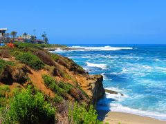 Landscape - California Locals