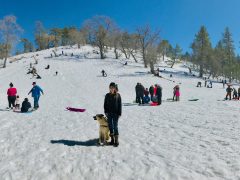 Nominated Chasing Snow Beautiful Wintery Scene In The San Diego County Backcountry We Went To Mt T20 Rrm2Gj - California Locals