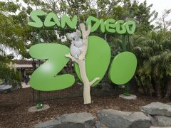 San Diego Zoo - California Locals