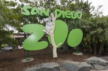 San Diego Zoo - California Locals