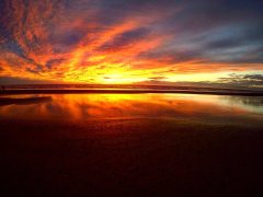 Torrey Pines State Natural - California Locals