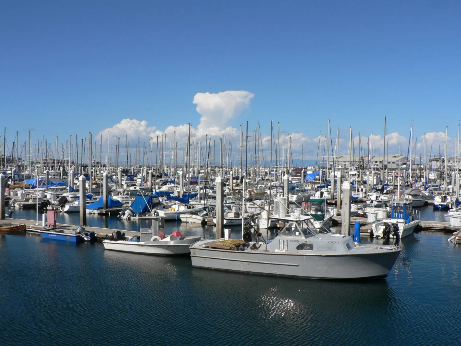 Boats moored in Monterey harbor.